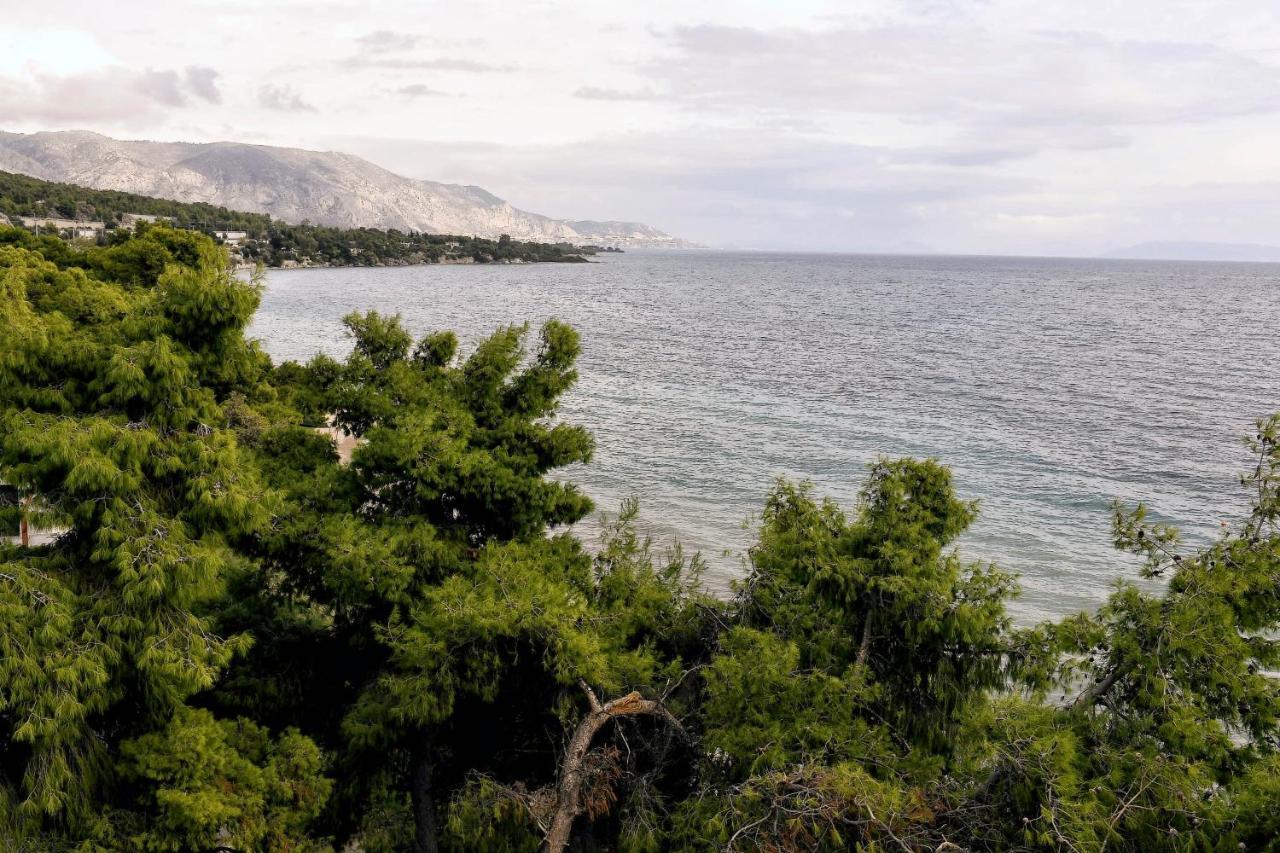 איוי תיאודורי Siagas Beach Hotel מראה חיצוני תמונה