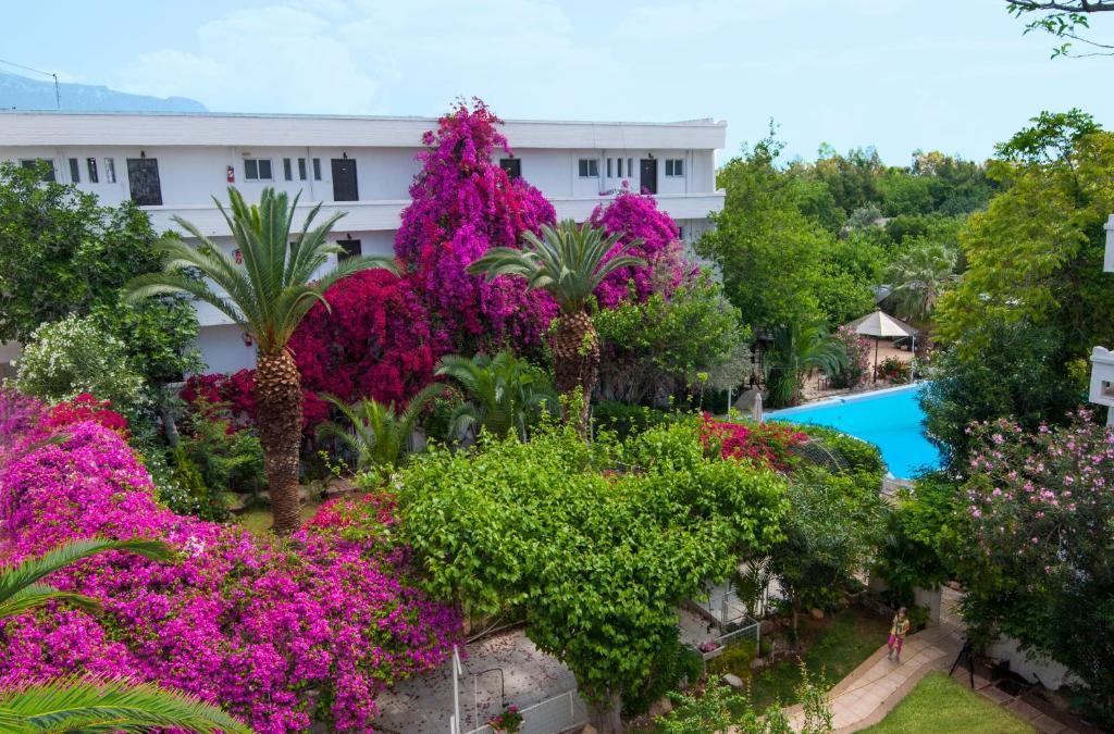 איוי תיאודורי Siagas Beach Hotel מראה חיצוני תמונה